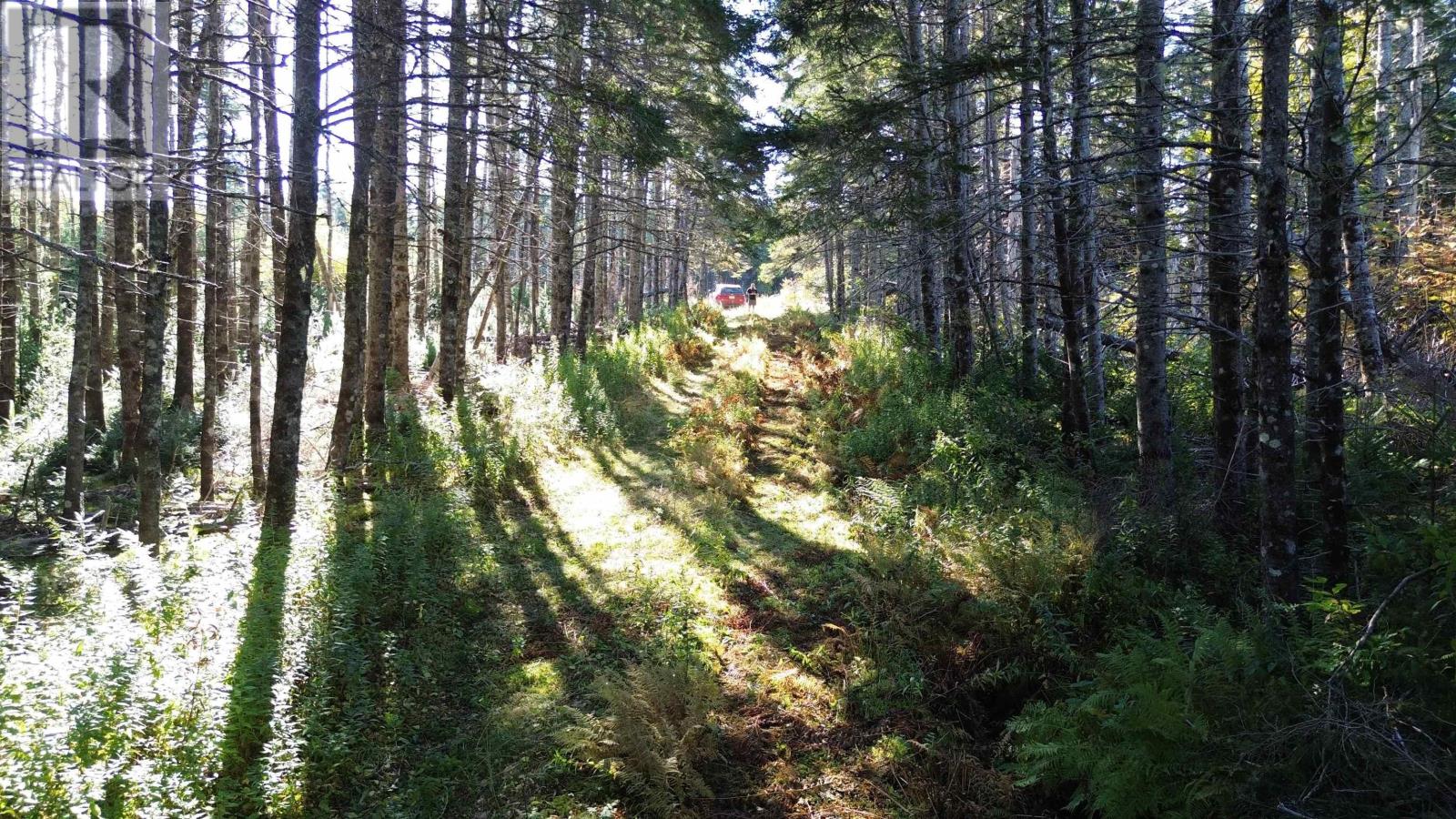 #4 Highway, St. Peter's, Nova Scotia  B0E 3B0 - Photo 6 - 202123225