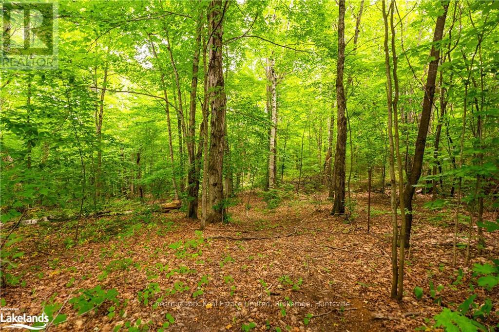 269 Old Muskoka Rd S, Machar, Ontario  P0A 1H0 - Photo 40 - X11823009