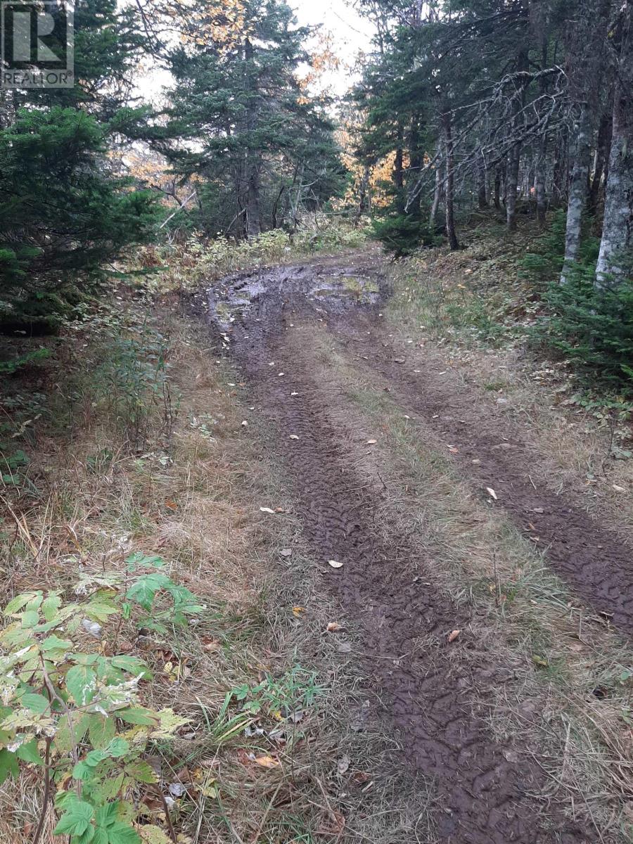 Tower Road, Chéticamp, Nova Scotia  B0E 1H0 - Photo 10 - 202428569