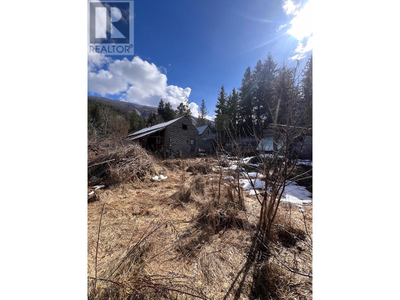 707 Park Street, Slocan, British Columbia  V0G 2C0 - Photo 18 - 10330812