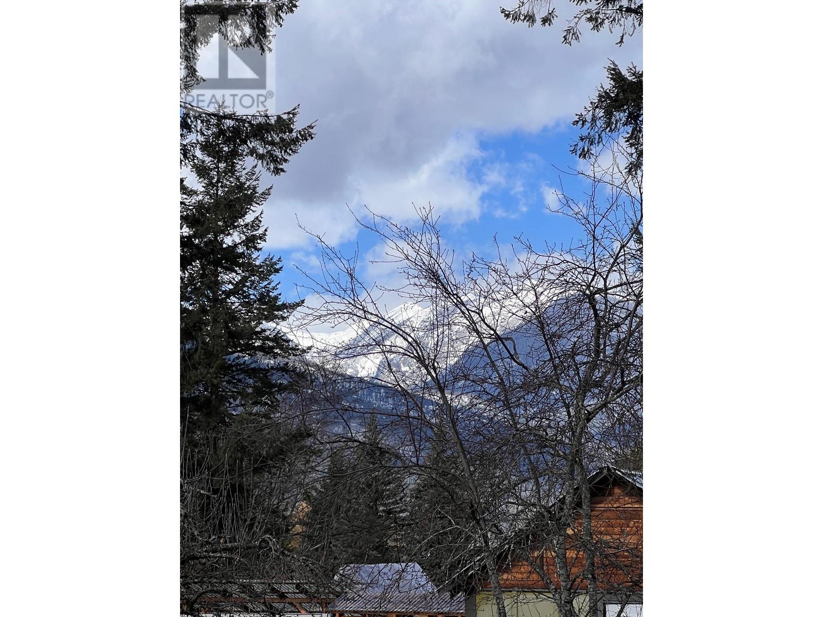 707 Park Street, Slocan, British Columbia  V0G 2C0 - Photo 24 - 10330812