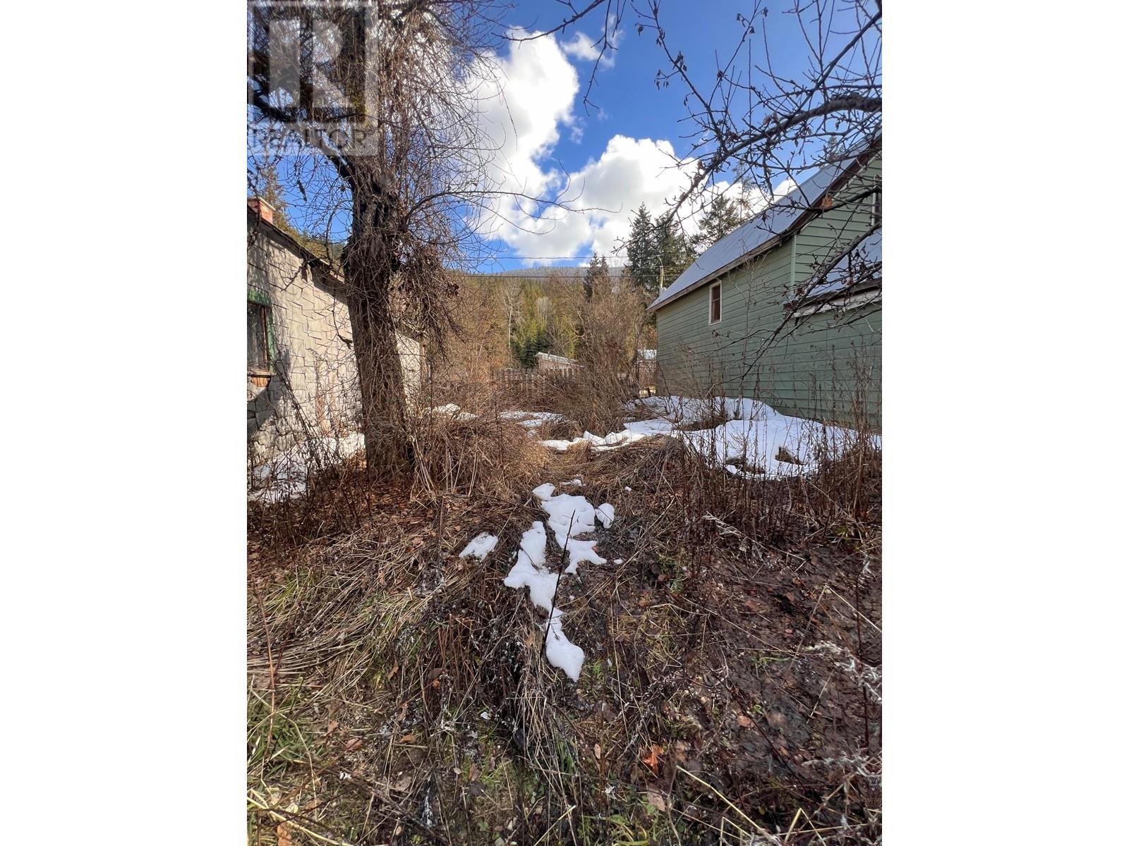 707 Park Street, Slocan, British Columbia  V0G 2C0 - Photo 20 - 10330812