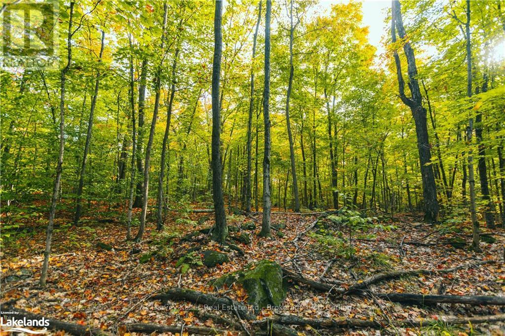 0 Windermere Road, Muskoka Lakes, Ontario  P0B 1M0 - Photo 17 - X10437804