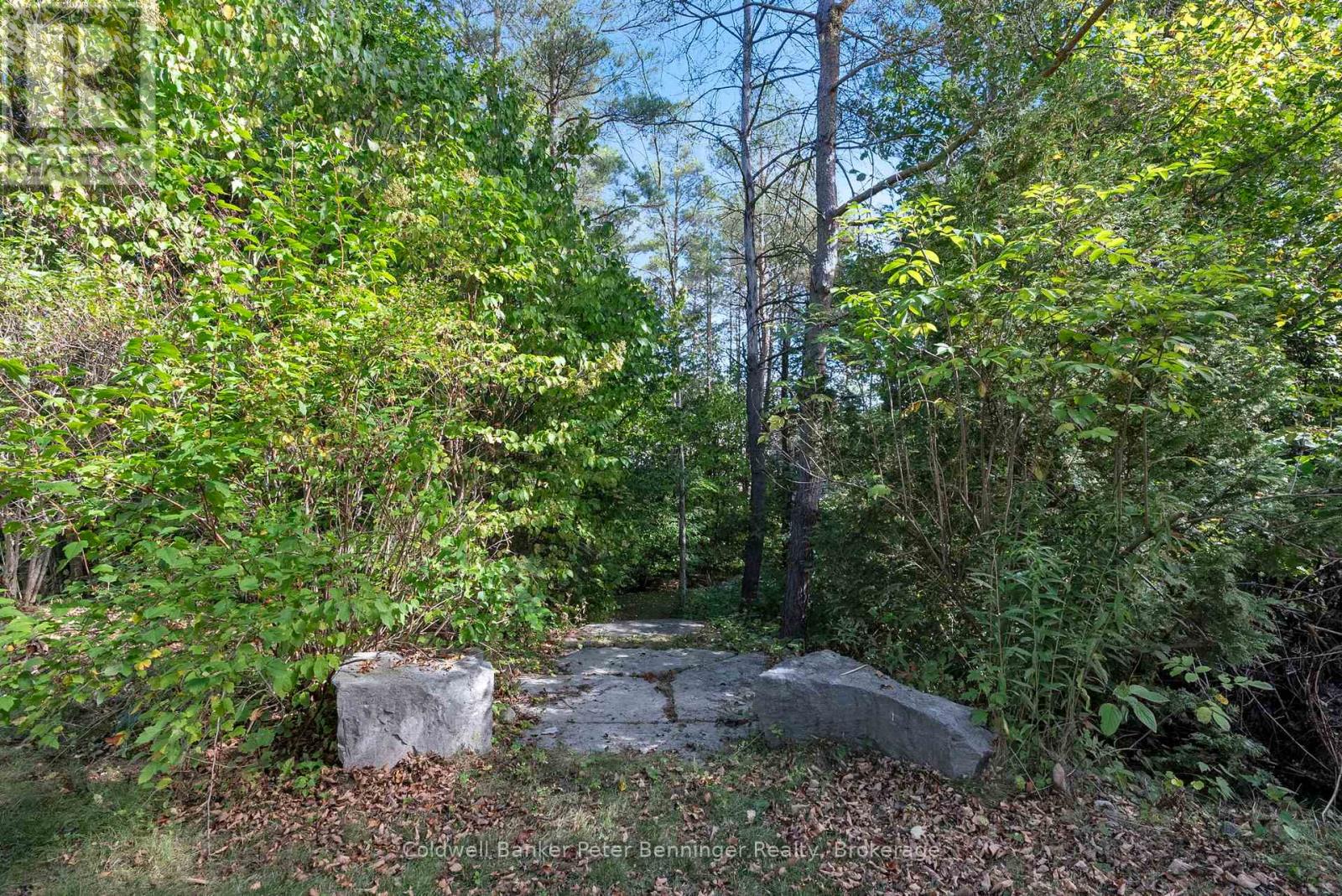 275 4th St Crescent, Hanover, Ontario  N4N 3S9 - Photo 33 - X11902232