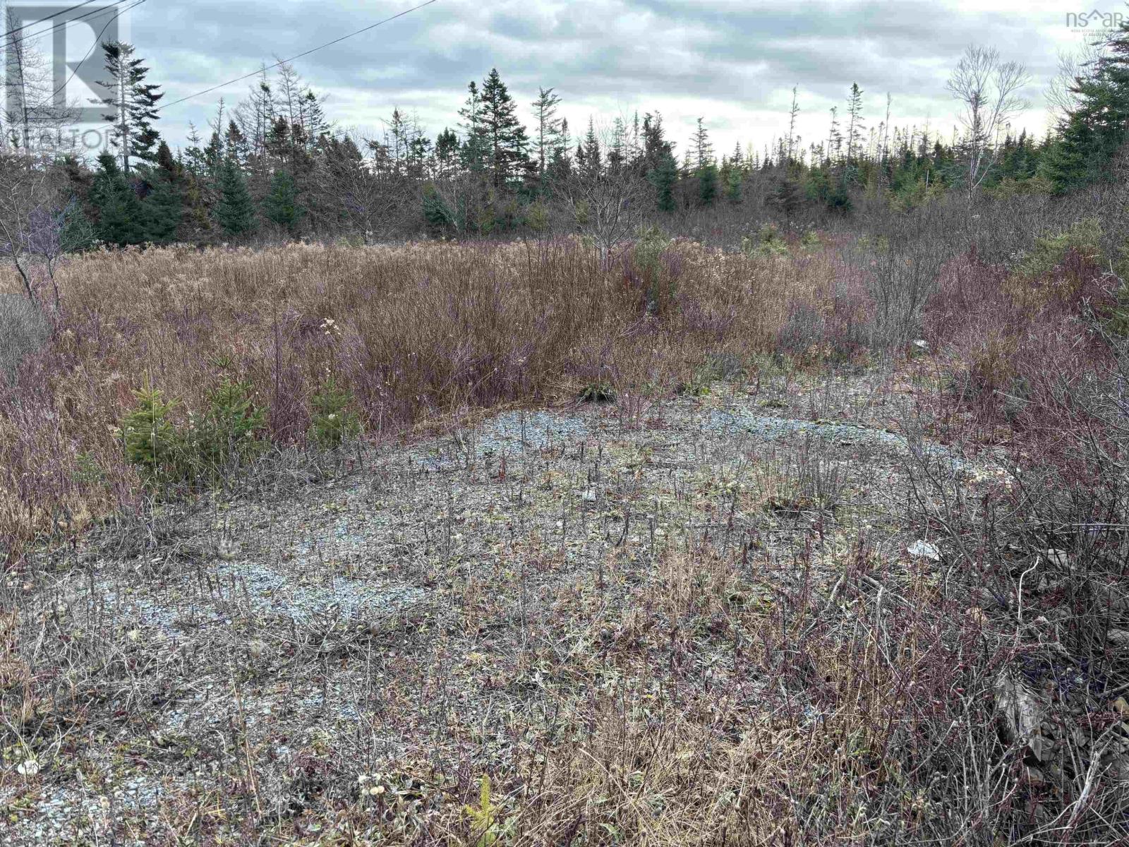 Lot D2 Highway 7, Watt Section, Nova Scotia  B0J 3B0 - Photo 2 - 202428037