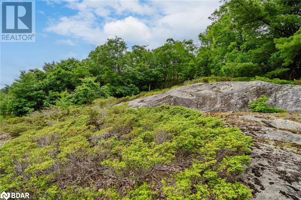 Lot 1 Delta Road, Washago, Ontario  L0K 2B0 - Photo 22 - 40605276