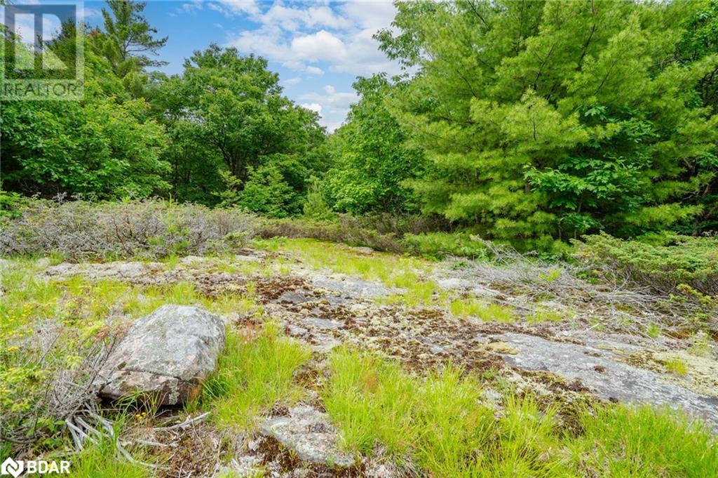 Lot 1 Delta Road, Washago, Ontario  L0K 2B0 - Photo 23 - 40605276