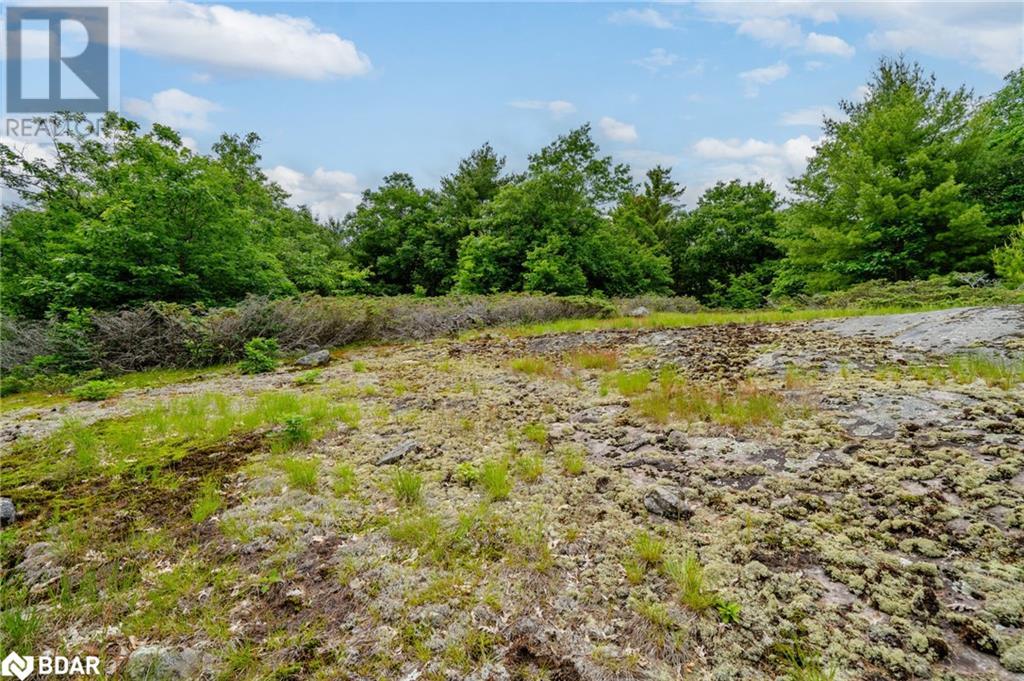 Lot 2 Delta Road, Washago, Ontario  L0K 2B0 - Photo 25 - 40605279