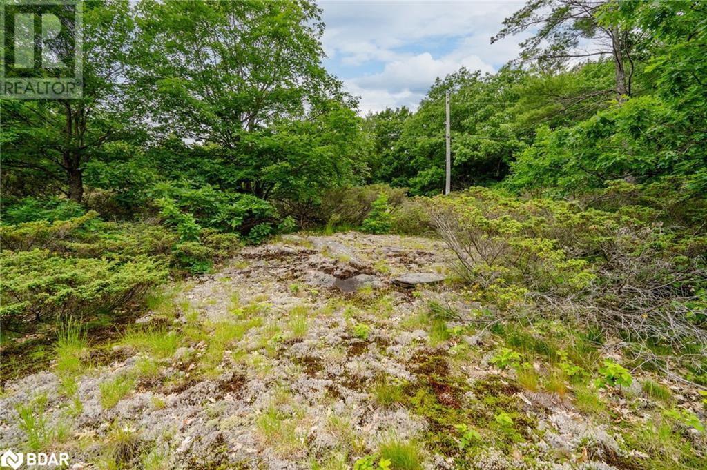 Lot 2 Delta Road, Washago, Ontario  L0K 2B0 - Photo 20 - 40605279