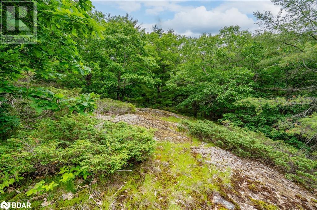 Lot 2 Delta Road, Washago, Ontario  L0K 2B0 - Photo 17 - 40605279