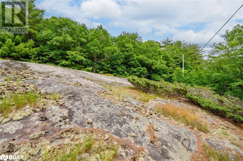 Lot 2 Delta Road, Washago, Ontario  L0K 2B0 - Photo 27 - 40605279