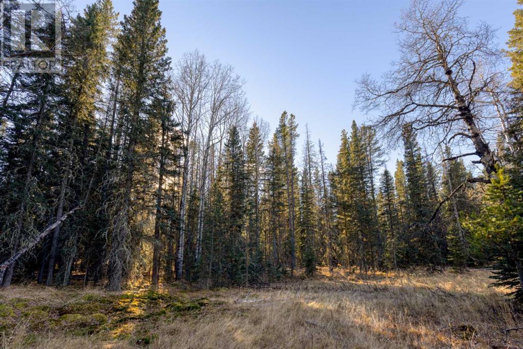 20.01 Acres Twp Rd 282, Rural Rocky View County, Alberta  T4C 2W1 - Photo 8 - A2179279