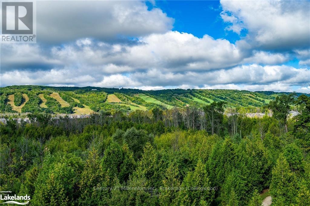 406 - 16 Beckwith Lane, Blue Mountains, Ontario  L9Y 3B6 - Photo 3 - X10439670