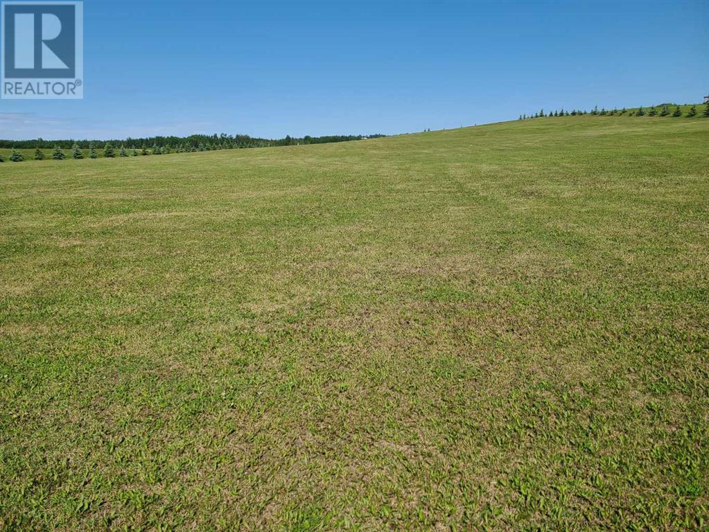 Lot #8, 70539 Rng Rd. 250, Rural Greenview No. 16, Alberta  T0H 3N0 - Photo 26 - A2147295