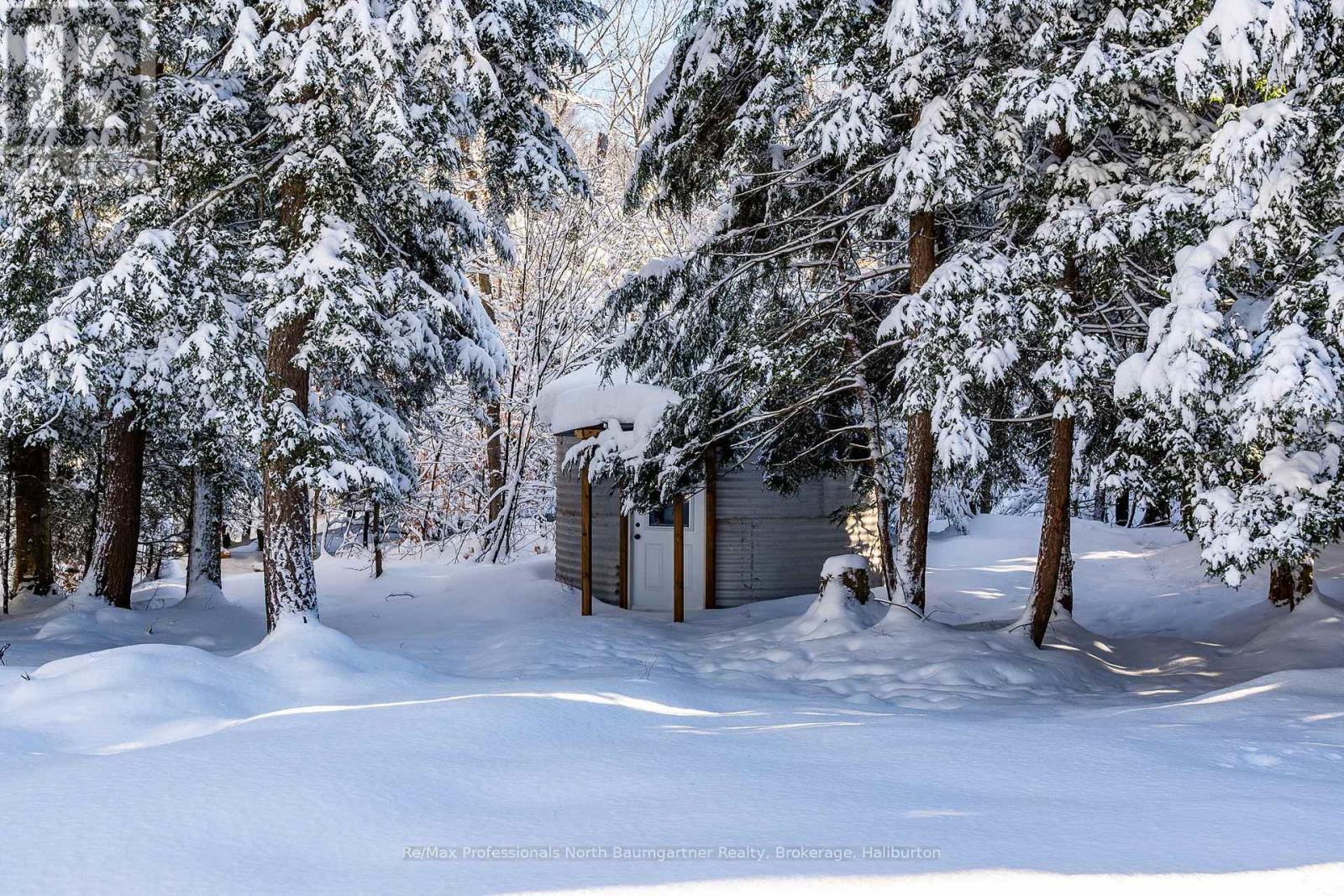 1323 Basshaunt Lake Rd, Dysart Et Al, Ontario  K0M 1M0 - Photo 31 - X11823234