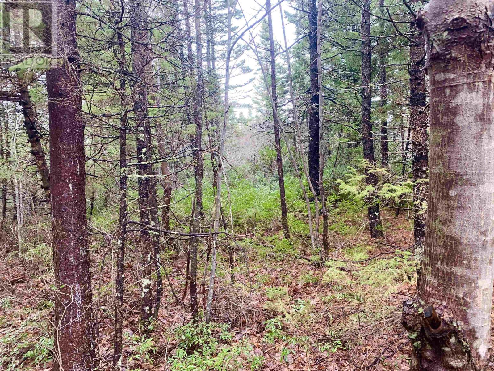 2.3 Acres Highway 308, Tusket, Tusket, Nova Scotia  B0W 3M0 - Photo 2 - 202406524