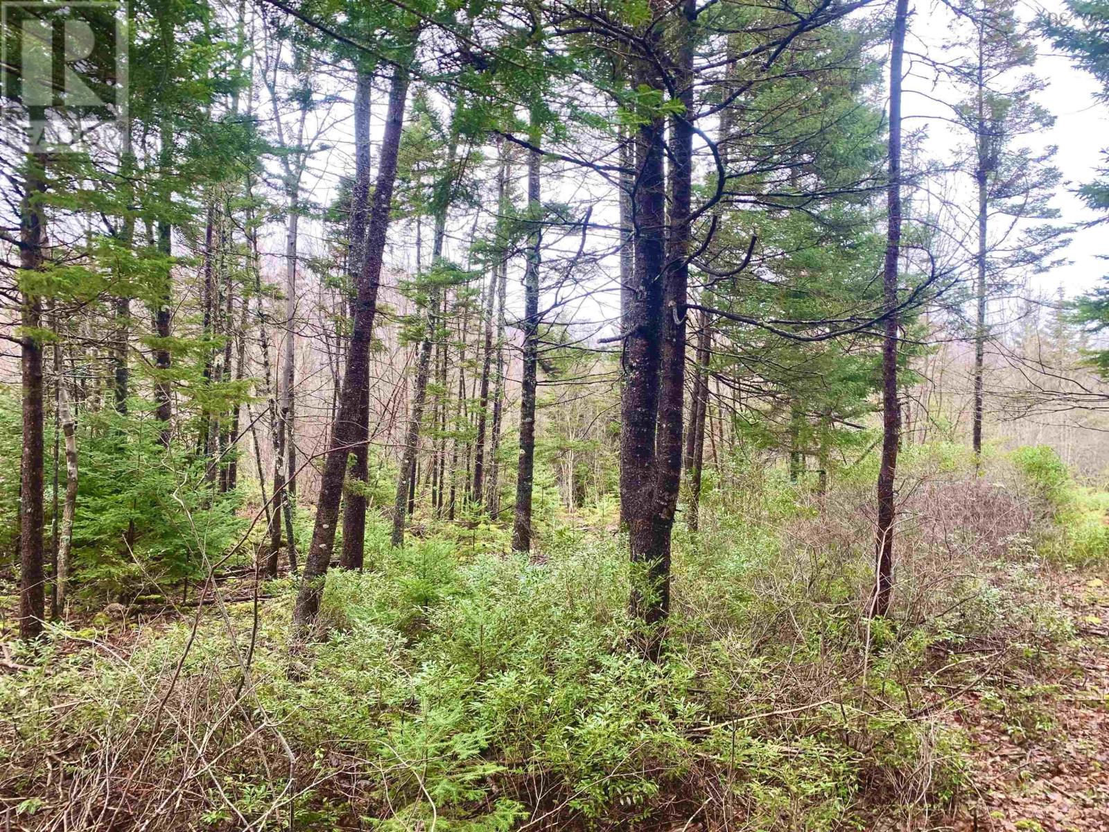 2.3 Acres Highway 308, Tusket, Tusket, Nova Scotia  B0W 3M0 - Photo 3 - 202406524