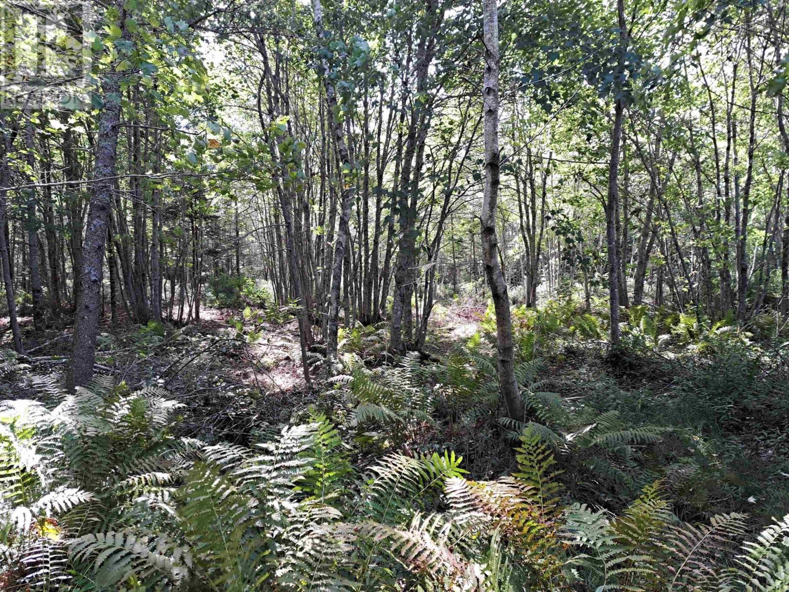 2.3 Acres Highway 308, Tusket, Tusket, Nova Scotia  B0W 3M0 - Photo 4 - 202406524