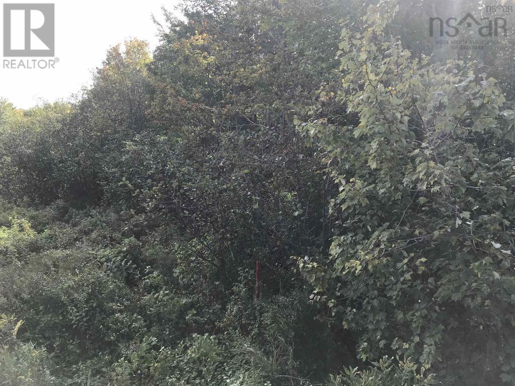 2.3 Acres Highway 308, Tusket, Tusket, Nova Scotia  B0W 3M0 - Photo 5 - 202406524