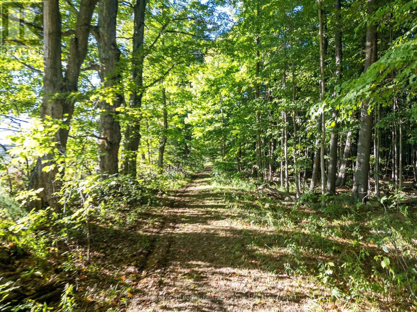 35449 Bayfield River Road, Central Huron, Ontario  N0M 1G0 - Photo 7 - X11902563