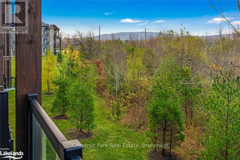 202 - 18 Beckwith Lane, Blue Mountains, Ontario  L9Y 3B6 - Photo 16 - X10437441