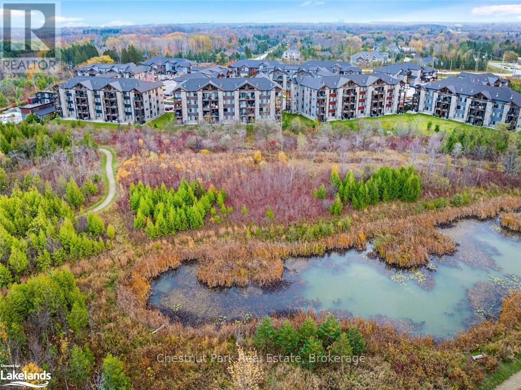 202 - 18 Beckwith Lane, Blue Mountains, Ontario  L9Y 3B6 - Photo 40 - X10437441