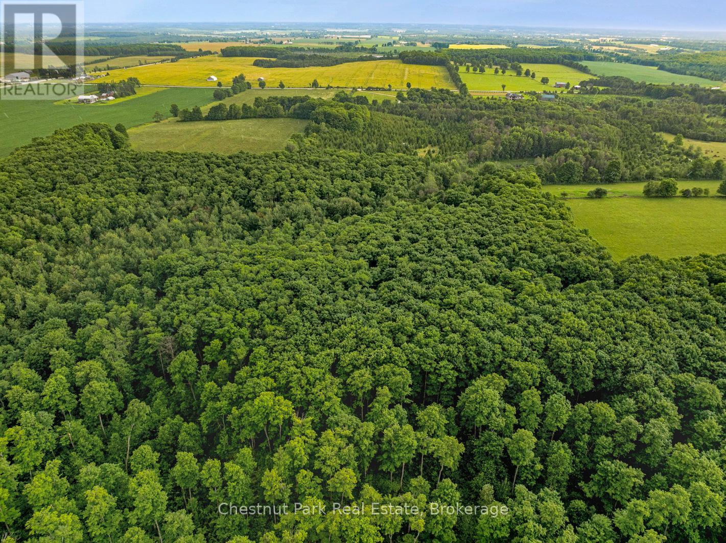 468147 12th Concession B, Grey Highlands, Ontario  N0C 1C0 - Photo 5 - X11823237