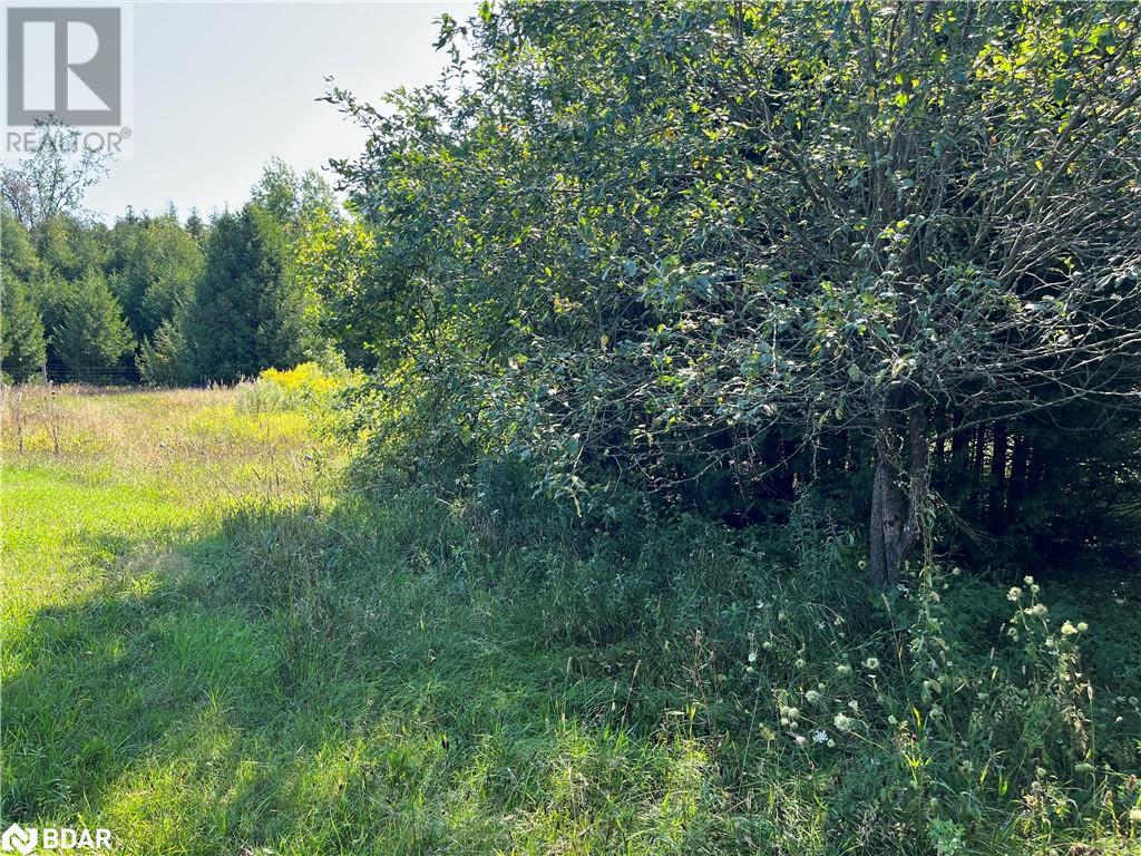 0 Asphodel 12th Line, Norwood, Ontario  K0L 2V0 - Photo 8 - 40686768