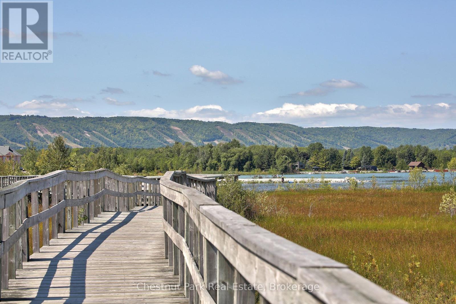 774 Johnston Park Avenue, Collingwood, Ontario  L9Y 5C7 - Photo 40 - S10895744