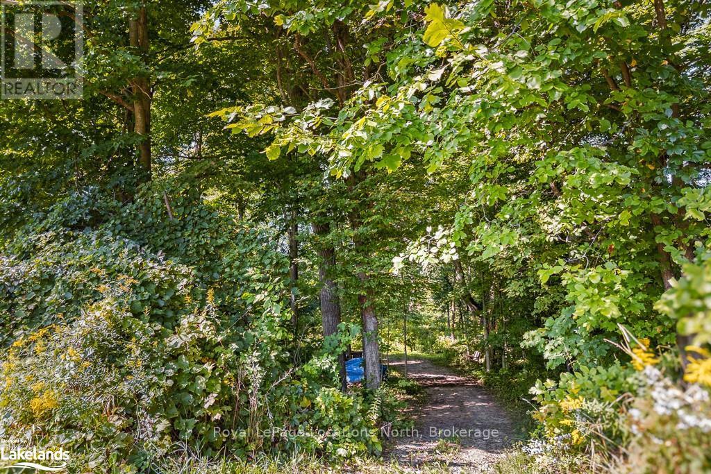 828999 Mulmur Nottawasaga, Clearview, Ontario  L0M 1K0 - Photo 17 - S10894979