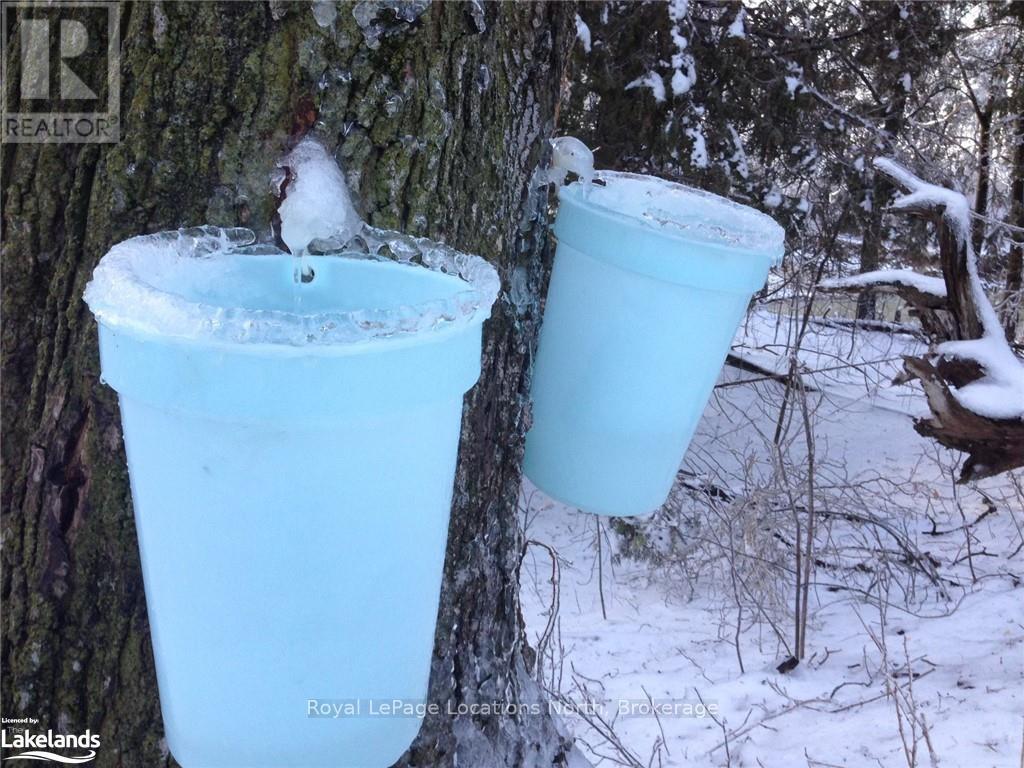 828999 Mulmur Nottawasaga, Clearview, Ontario  L0M 1K0 - Photo 31 - S10894979