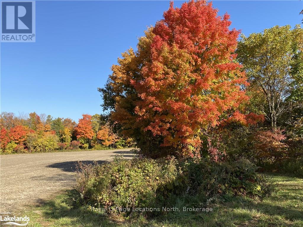 828999 Mulmur Nottawasaga, Clearview, Ontario  L0M 1K0 - Photo 37 - S10894979