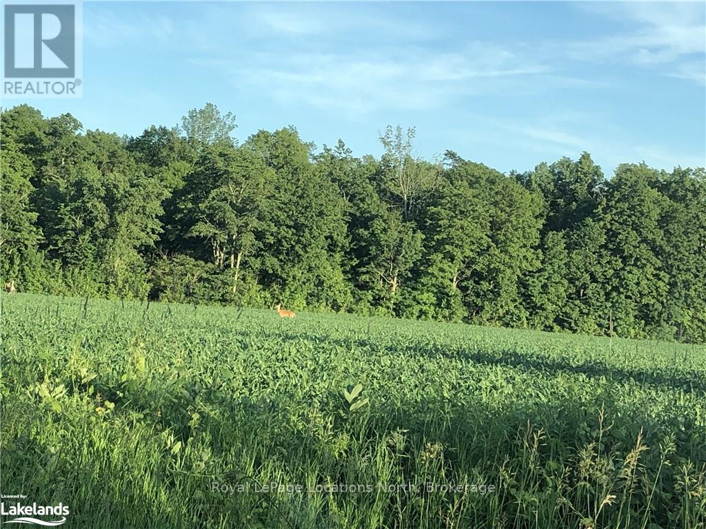 828999 Mulmur Nottawasaga, Clearview, Ontario  L0M 1K0 - Photo 40 - S10894979