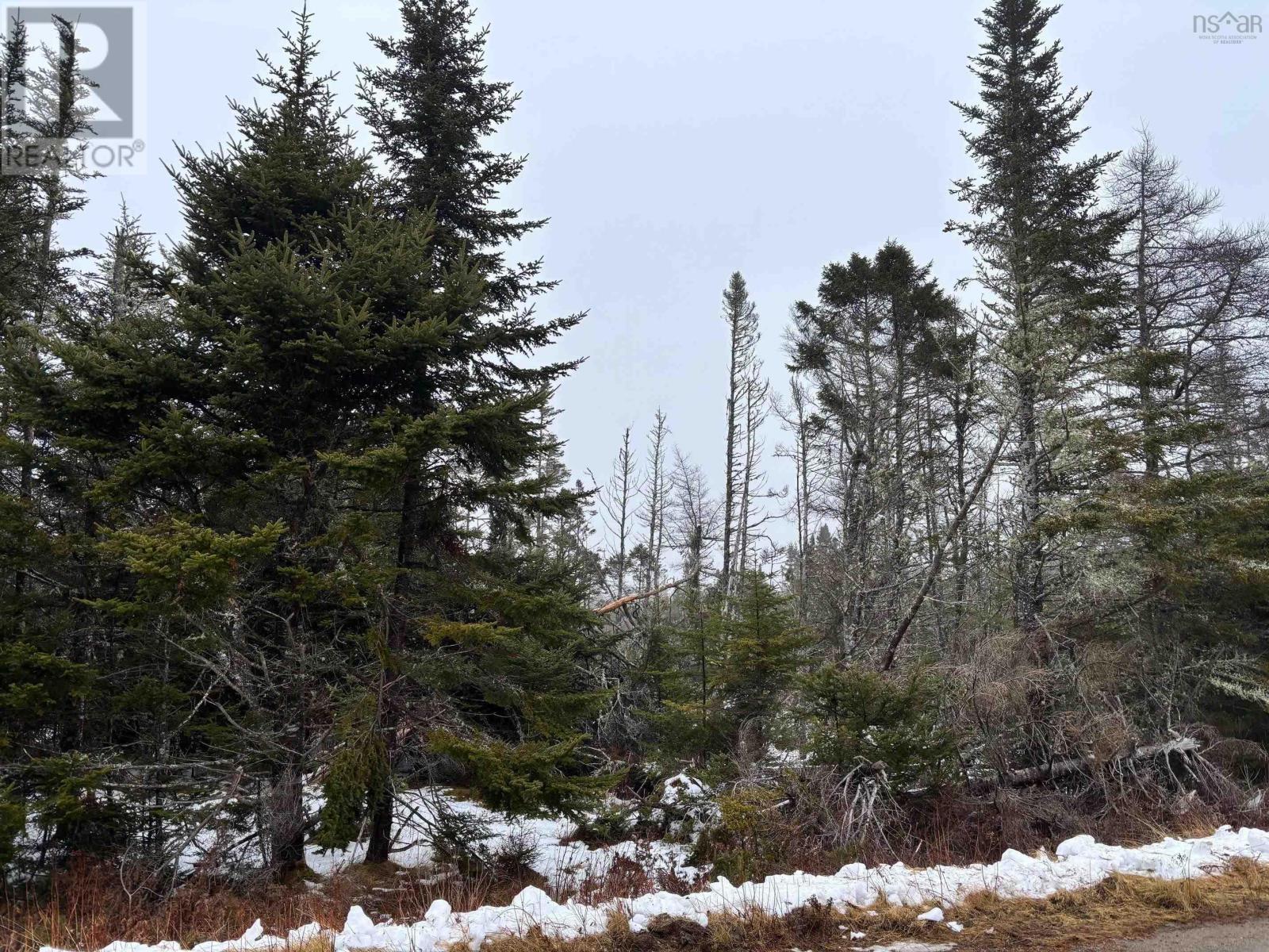 No 7 Highway, Necum Teuch, Nova Scotia  B0J 2K0 - Photo 3 - 202425369