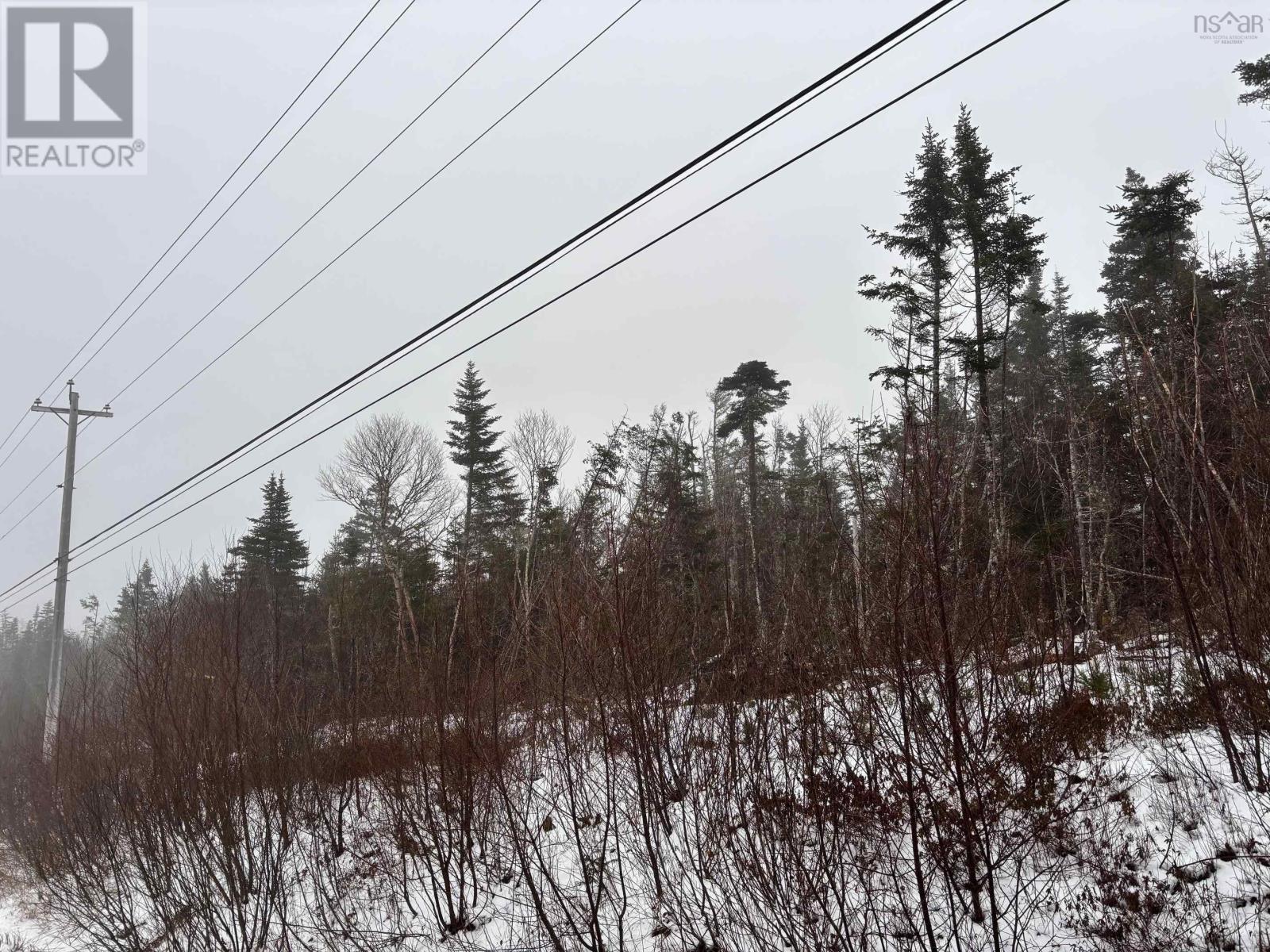 Lot Highway 7, Marie Joseph, Nova Scotia  B0J 2G0 - Photo 3 - 202427176