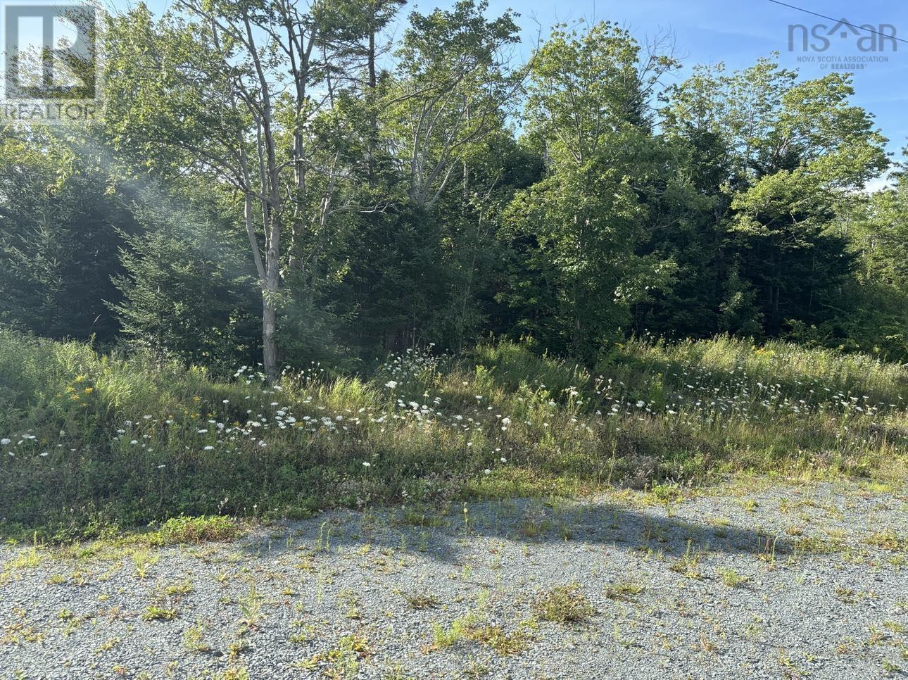 Lot 3 Long Pond Lane, Herring Cove, Nova Scotia  B3R 1Z6 - Photo 6 - 202428602