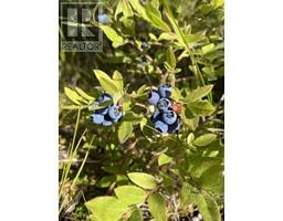 BLK A HANSARD LAKE, prince george, British Columbia