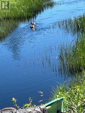 16865 Anderson Road, Wabigoon, Ontario  P0V 2W0 - Photo 1 - 40686874