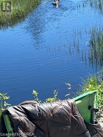16865 Anderson Road, Wabigoon, Ontario  P0V 2W0 - Photo 2 - 40686874