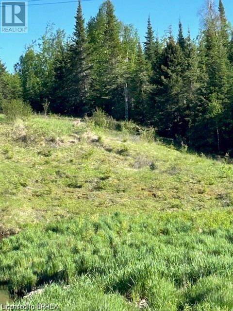 16865 Anderson Road, Wabigoon, Ontario  P0V 2W0 - Photo 5 - 40686874