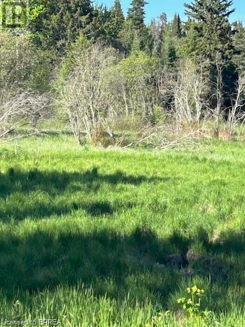 16865 Anderson Road, Wabigoon, Ontario  P0V 2W0 - Photo 6 - 40686874