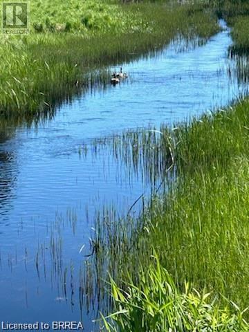 16865 Anderson Road, Wabigoon, Ontario  P0V 2W0 - Photo 8 - 40686874