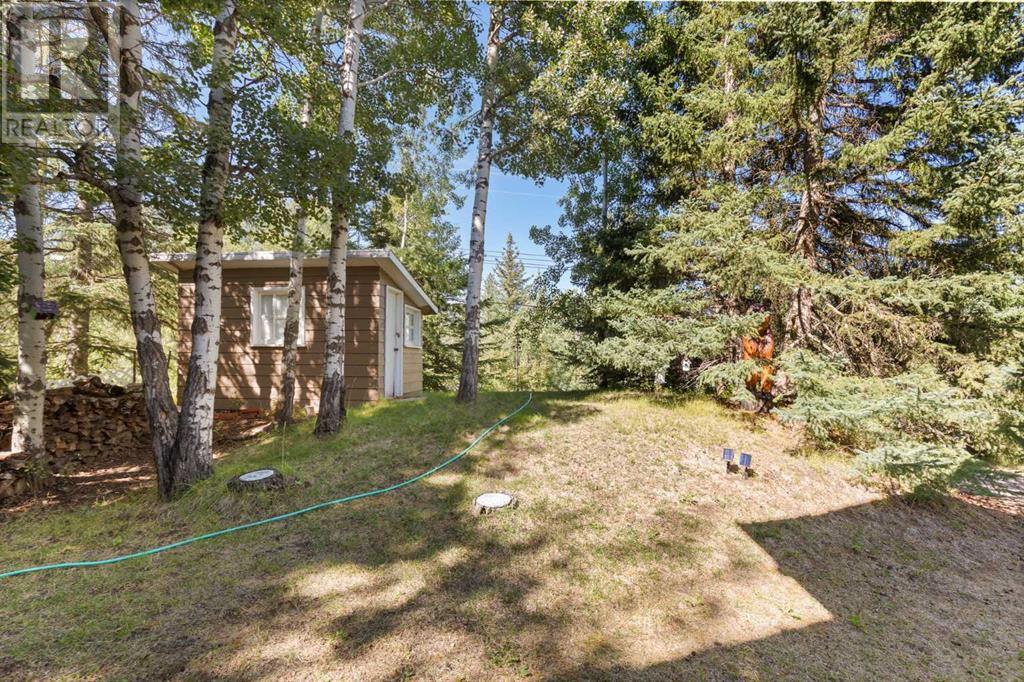 210 6 Avenue, Rural Cypress County, Alberta  T0J 1C0 - Photo 41 - A2160822