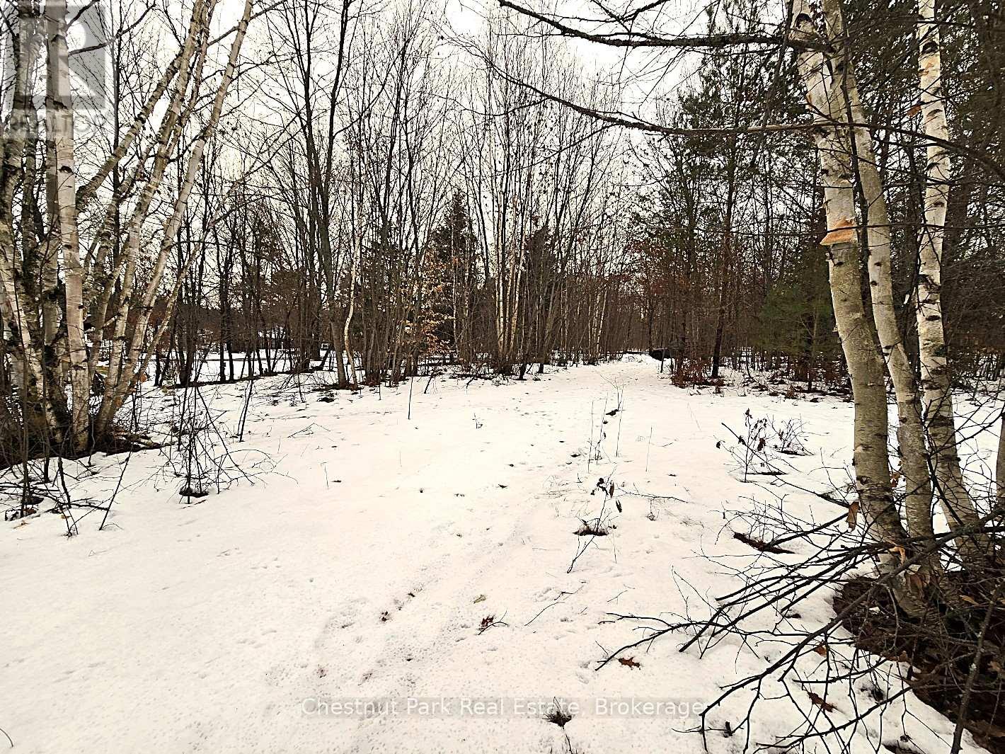 59 Paget Street, Sundridge, Ontario  P0A 1Z0 - Photo 10 - X11903361