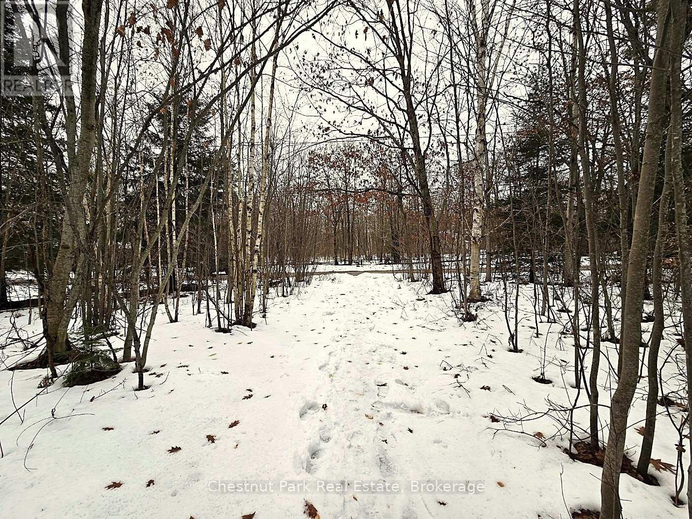 59 Paget Street, Sundridge, Ontario  P0A 1Z0 - Photo 12 - X11903361