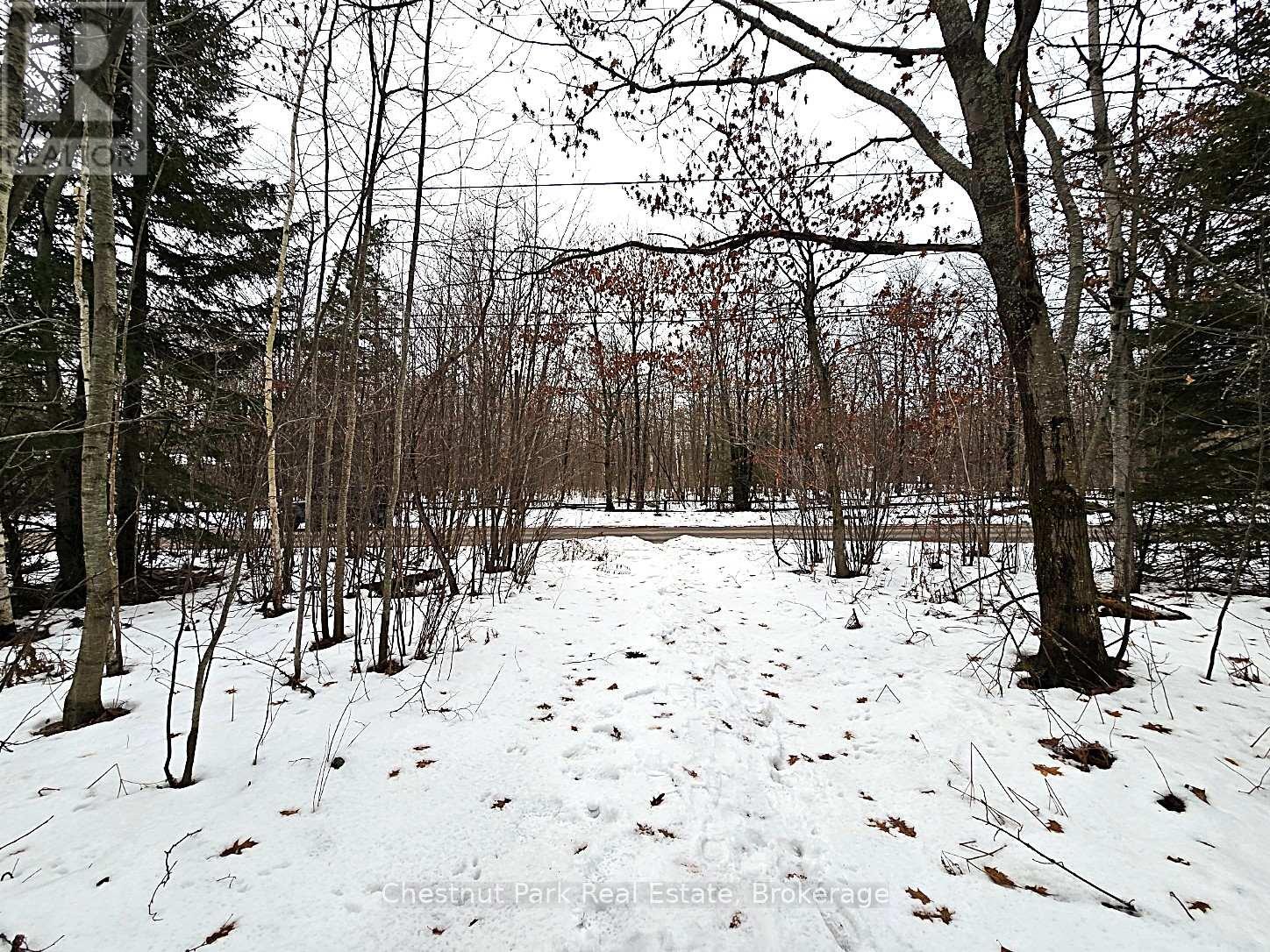 59 Paget Street, Sundridge, Ontario  P0A 1Z0 - Photo 14 - X11903361