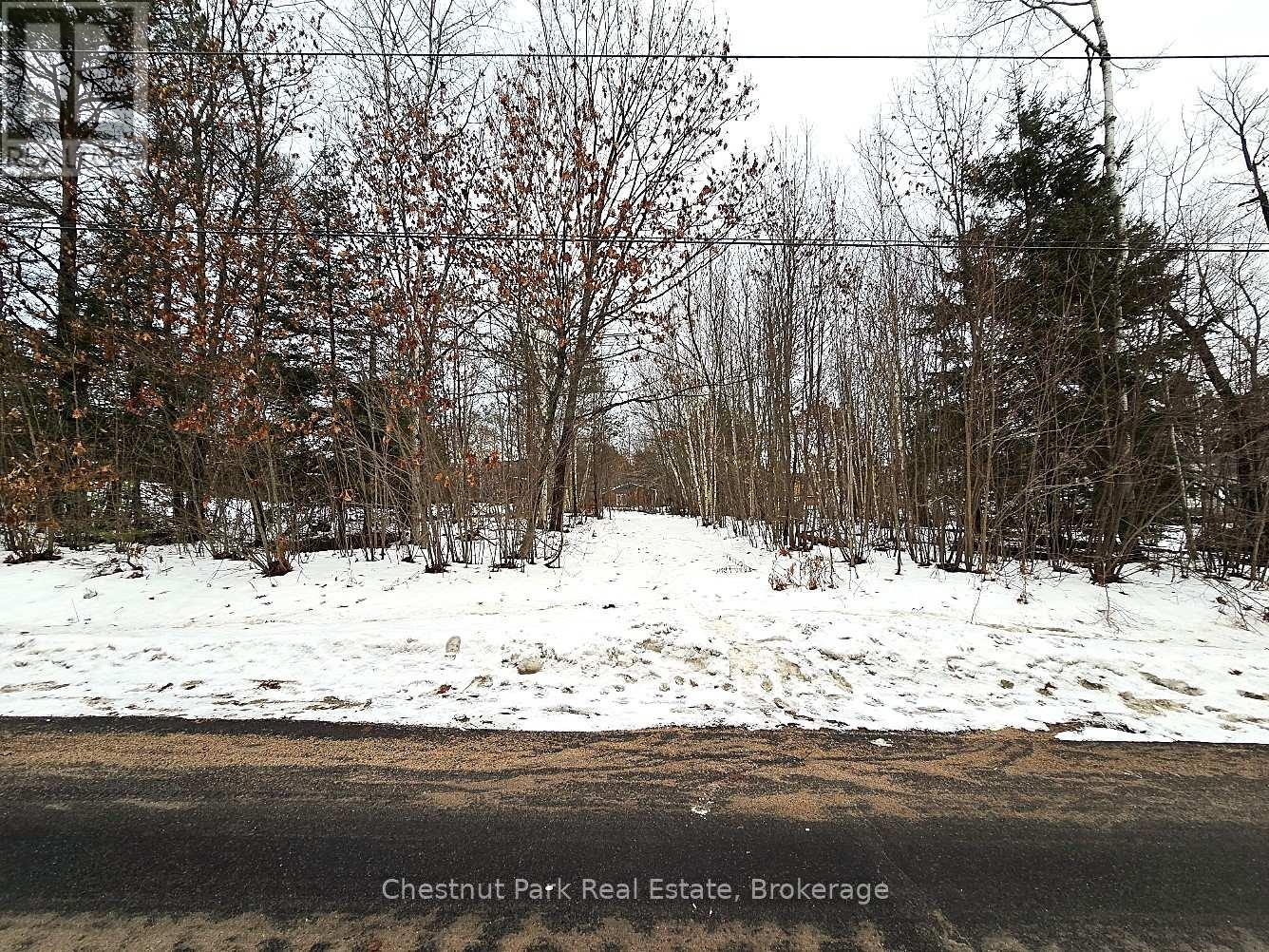 59 Paget Street, Sundridge, Ontario  P0A 1Z0 - Photo 3 - X11903361