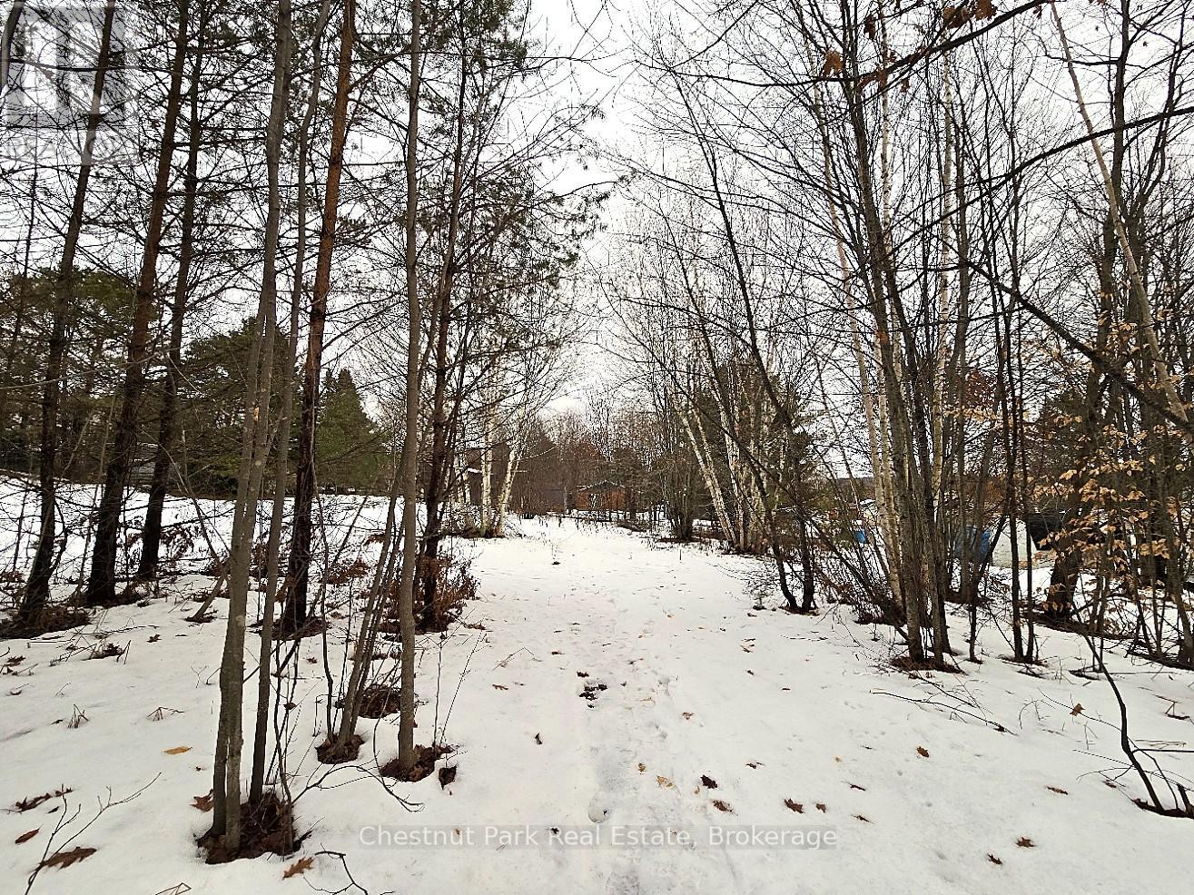 59 Paget Street, Sundridge, Ontario  P0A 1Z0 - Photo 6 - X11903361