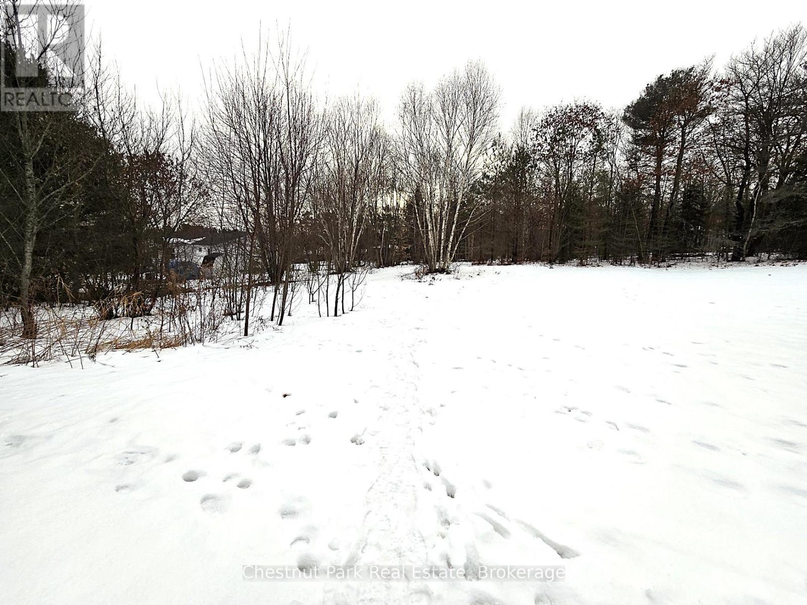 59 Paget Street, Sundridge, Ontario  P0A 1Z0 - Photo 7 - X11903361