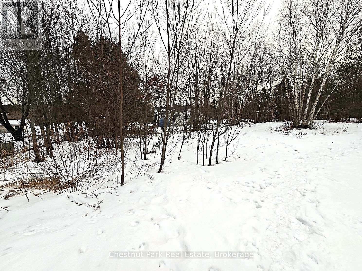 59 Paget Street, Sundridge, Ontario  P0A 1Z0 - Photo 8 - X11903361